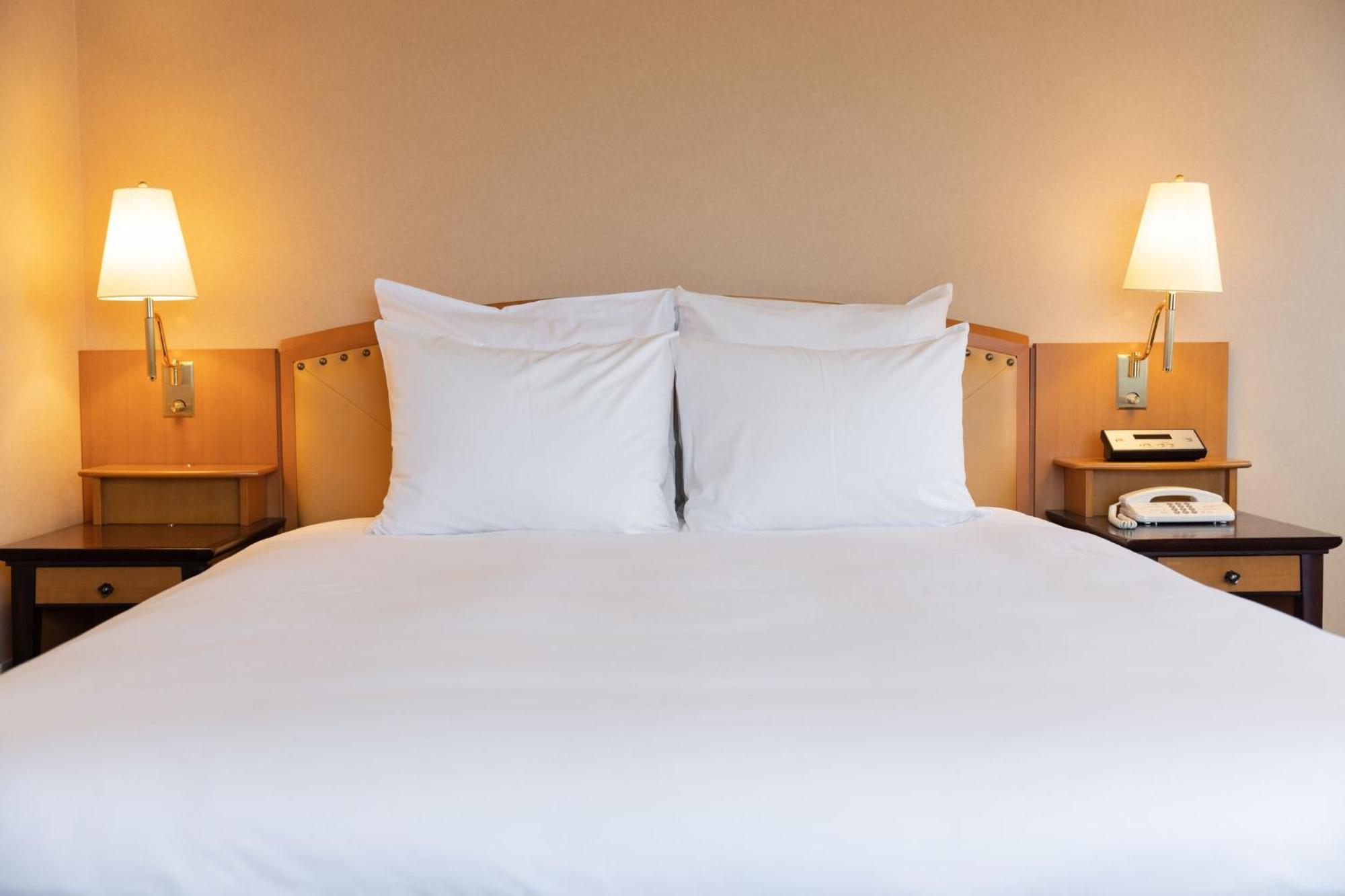Hotel Ana Crowne Plaza By Ihg 4*